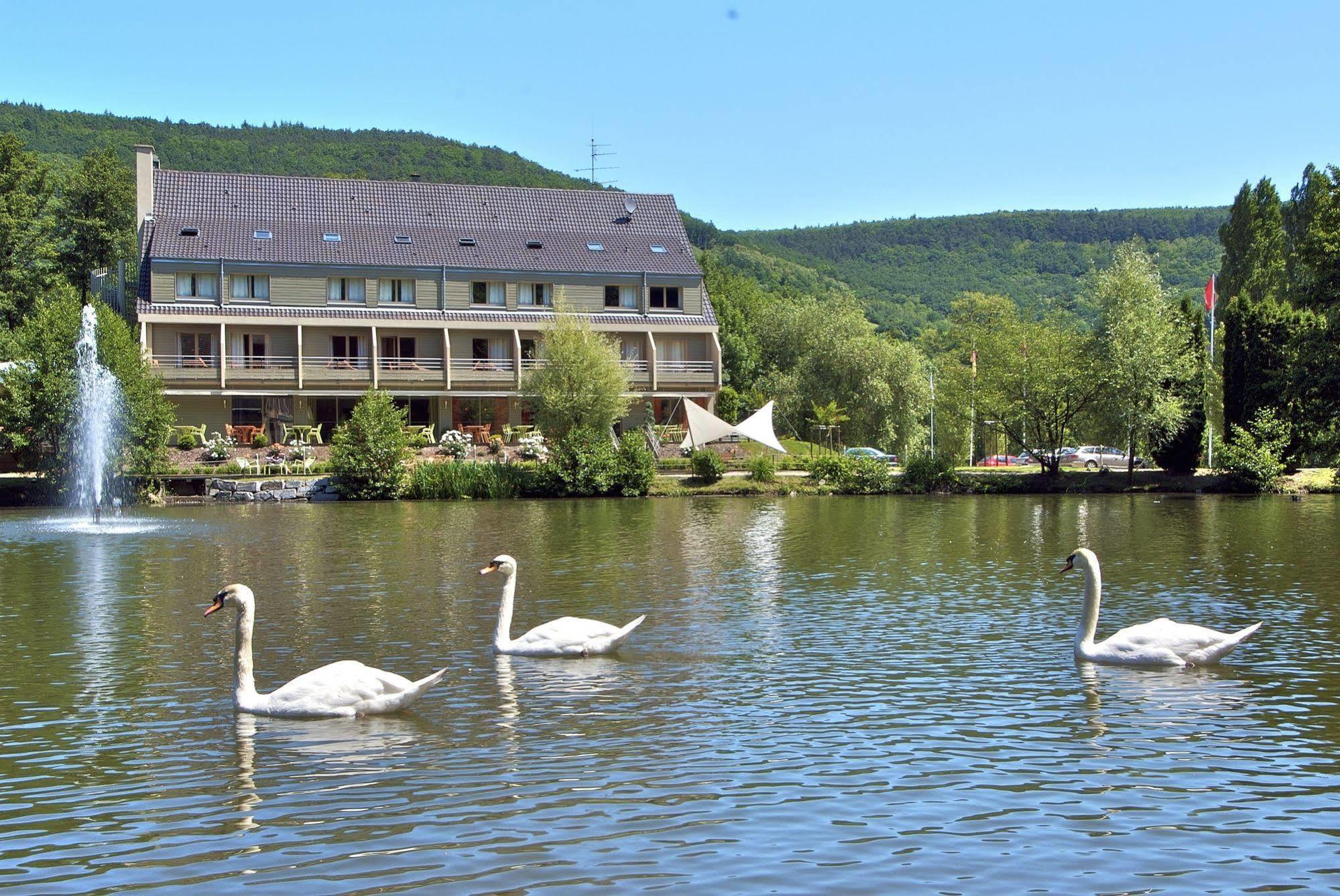Hotel Les Rives Guebwiller Kültér fotó